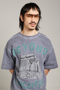 ECKARD SUNGLASSES SILVER/GREY