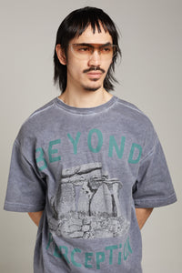 ECKARD SUNGLASSES SILVER/GREY